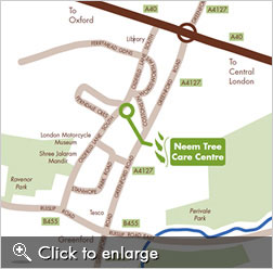 Neem Tree Map